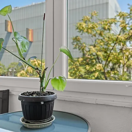 Bratianu 1bdr * Bucharest